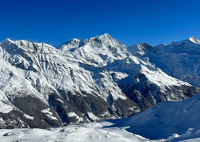 Les Erables Cd 465 By Interhome Apartamento Zinal